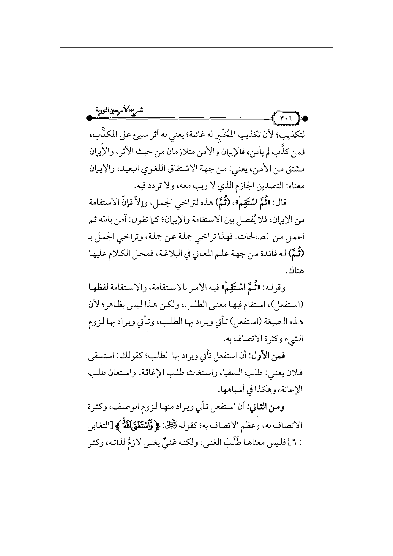 Page 307